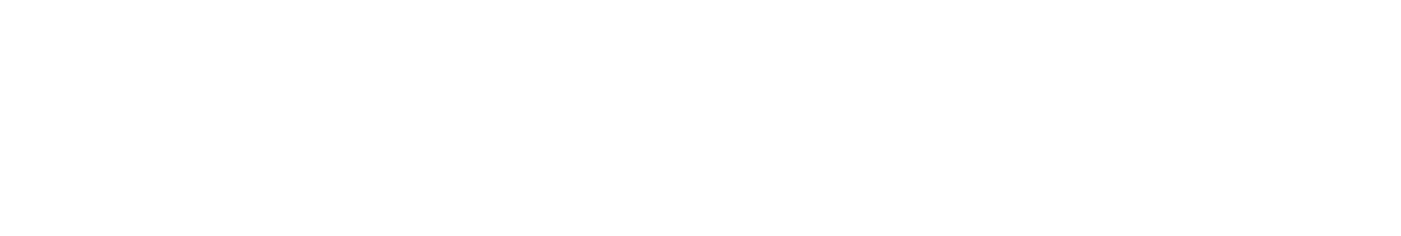 LUZ TOP TEAM ロゴ