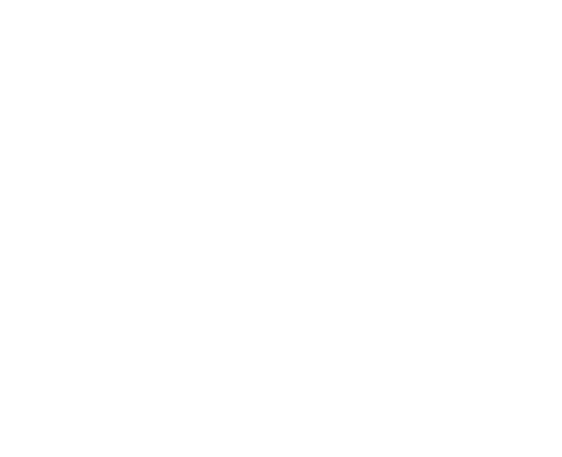 1 D TROLL logo
