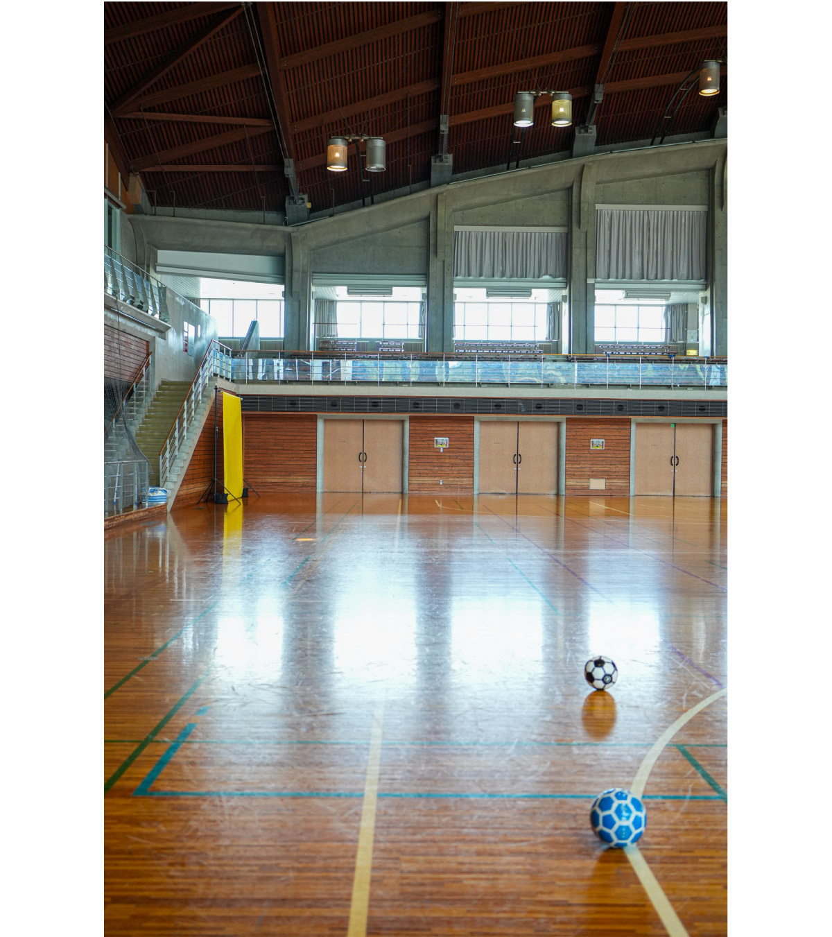 FUTSAL DIG snap image