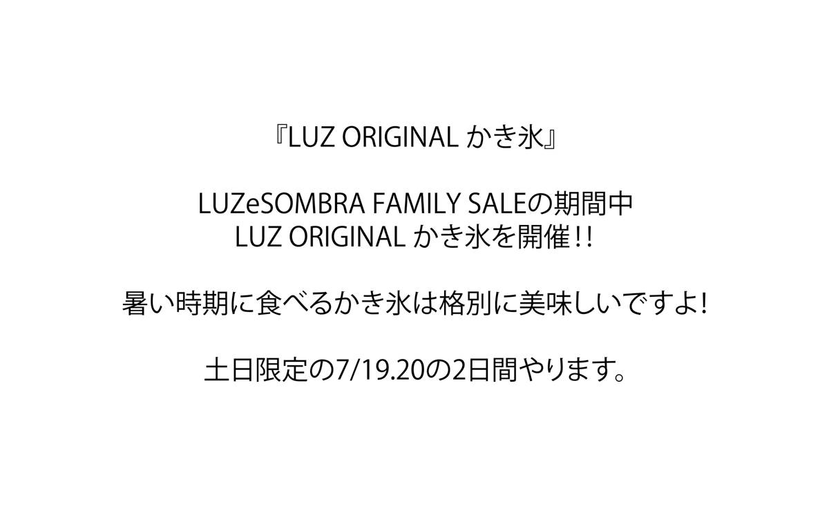 LHS FAMILY SALE かき氷説明