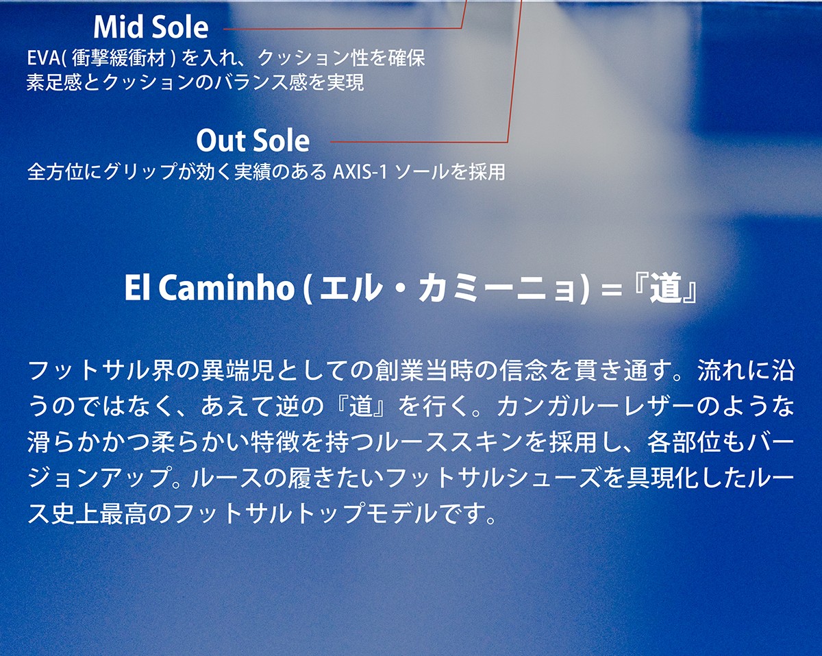 エルカミーニョ商品説明画像2